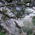 El Torcal bei Nebel Im Winter